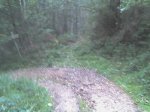 DSC00153.JPG