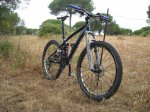 hoy1.JPG