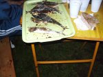 PICT2102.jpg