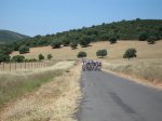 Alamillo 1213-ruta femenina 20 de Junio 085.jpg