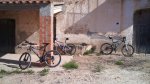 DSC00087.jpg