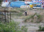 IMG_3335.jpg