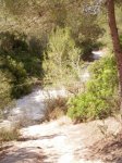 P6250066 - copia.jpg