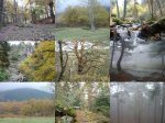 02_OtoÃ±oEnLaSierra-Madrid_LowQ.jpg