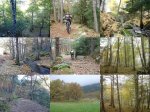 05_OtoÃ±oEnLaSierra-Madrid_LowQ.jpg