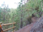 DSCF7645.jpg