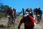 DSC_0110.JPG
