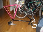 DSCN1521.jpg