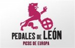 pedales-de-leon (Medium).jpg