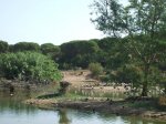 DSCF1267.jpg