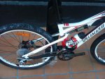 DSC00236.jpg