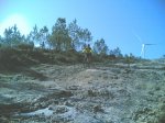 Img.0269.jpg