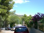 CIMG0403_low.JPG