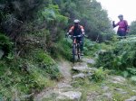 22082010083.jpg