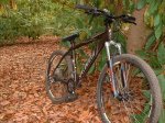 Bici de frente (PequeÃ±a).JPG