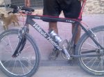 Imagen0019.jpg