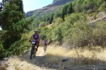 DSC04936 [].JPG