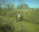muleycharco091106.jpg