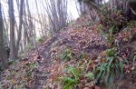 102_1239.jpg