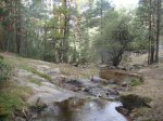DSC09125.JPG