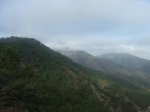 DSCF2249.jpg