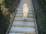 DSC01773.jpg