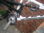 Yeti 014 (Medium).jpg