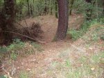 SDC10039.jpg