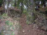 SDC10045.jpg