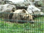 PICT0541.jpg