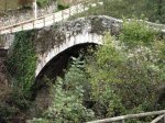 PICT0539.jpg