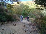 31102010106.jpg