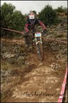 D30_2740_2288_2560.JPG