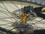 DSC07736.jpg