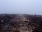 DSC09594.jpg