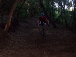 tenerife2010 257.jpg