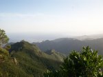 tenerife2010 259.jpg