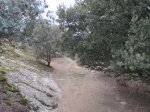 IMG_7696.jpg