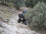 IMG_7679.jpg