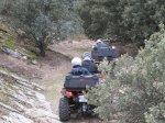 IMG_7684.jpg