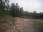 PICT5208.jpg