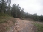 PICT5206.jpg