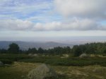 PB060822.jpg