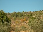 PeñaCortada (89).JPG