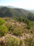 PeñaCortada (81).JPG