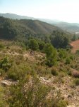 PeñaCortada (87).JPG