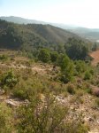 PeñaCortada (84).JPG