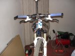 DSC03981.jpg