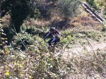 IMG_0175.jpg