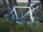 TCX 03.jpg